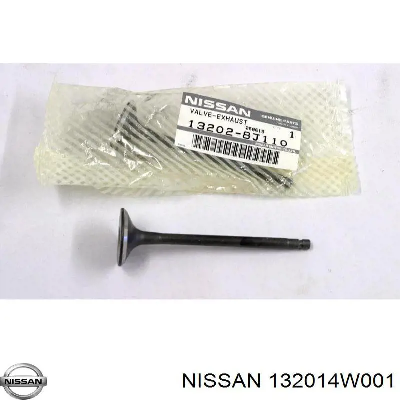 132019FP0A Nissan клапан впускной