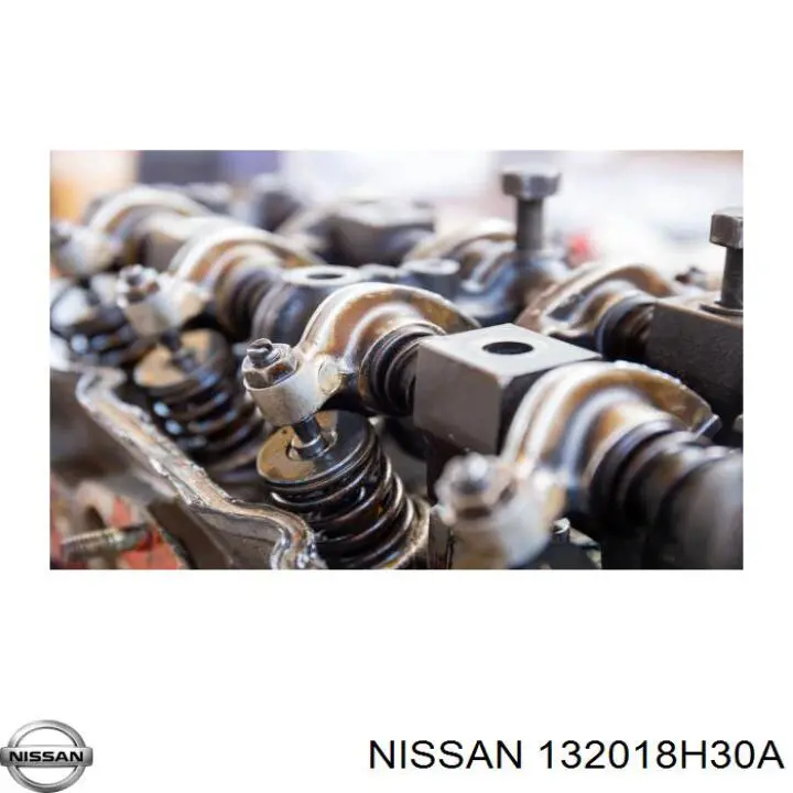 132018H30A Nissan válvula de admissão