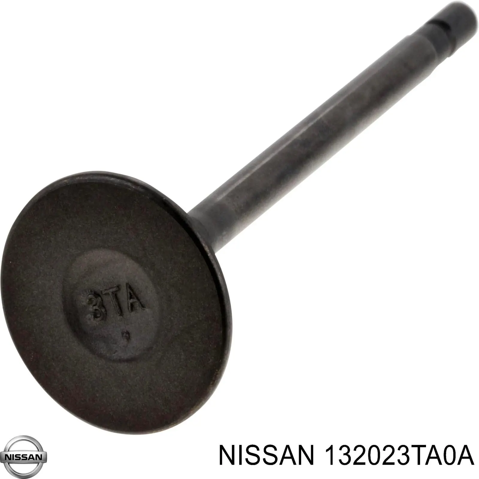 132023TA0A Nissan 