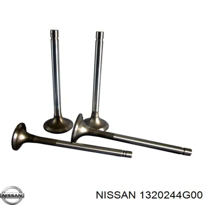1320244G00 Nissan/Infiniti Выхлопной клапан