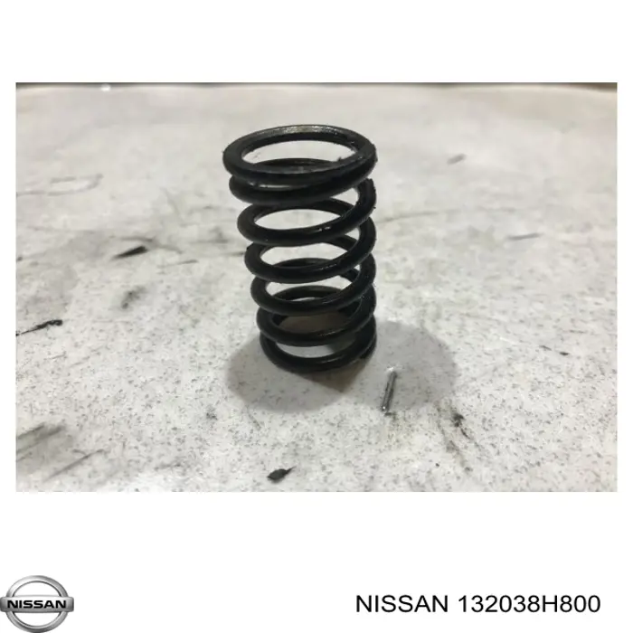 Купить 132038H800 Nissan/Infiniti 
