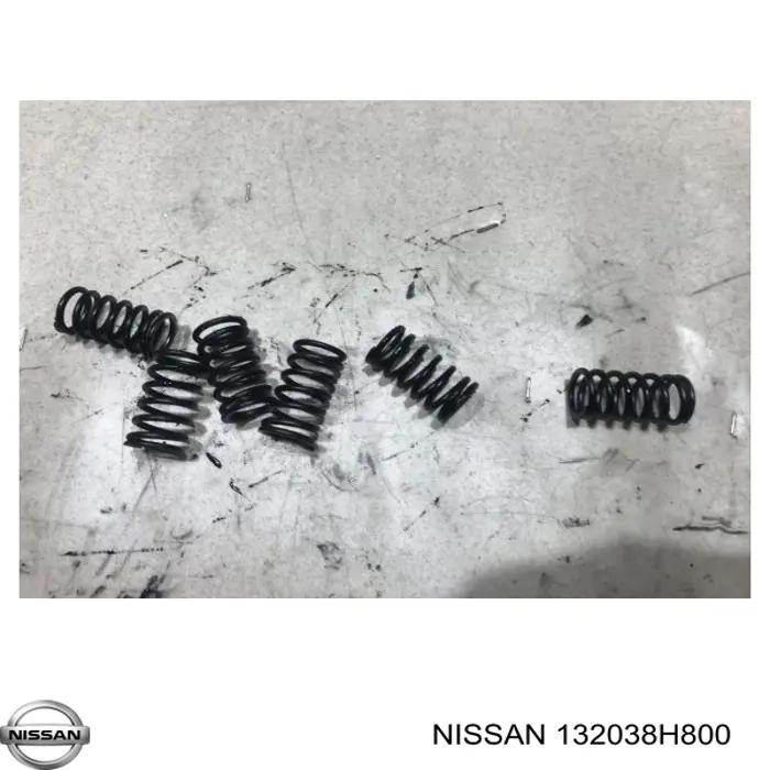  Nissan/Infiniti 132038H800 цена, от 2.37 USD