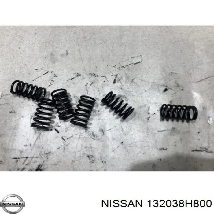 132038H800 Nissan 