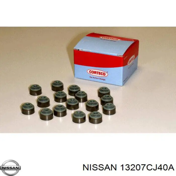 13207CJ40A Nissan/Infiniti