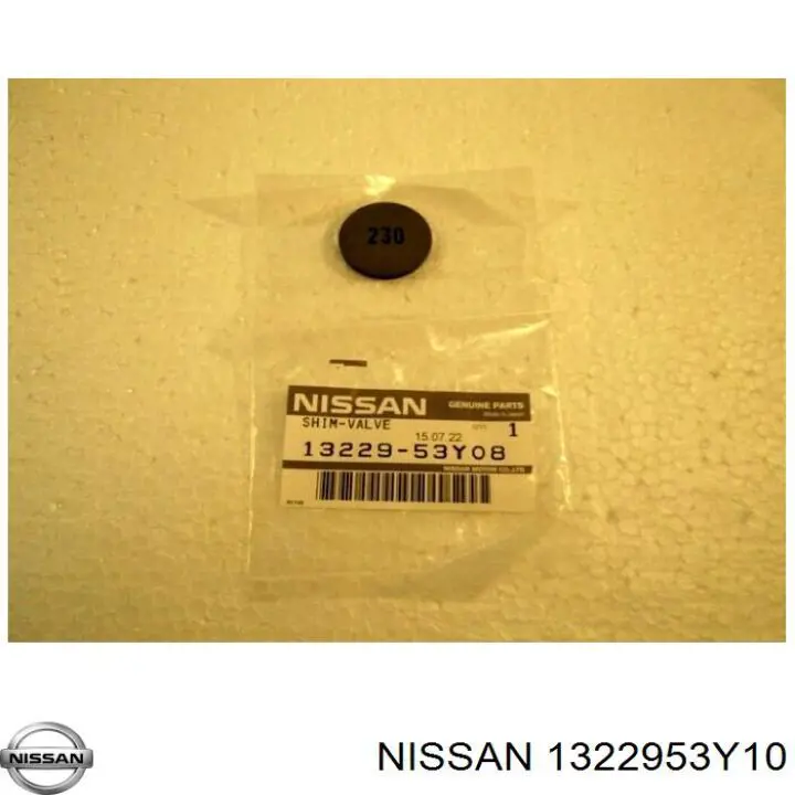 1322953Y10 Nissan
