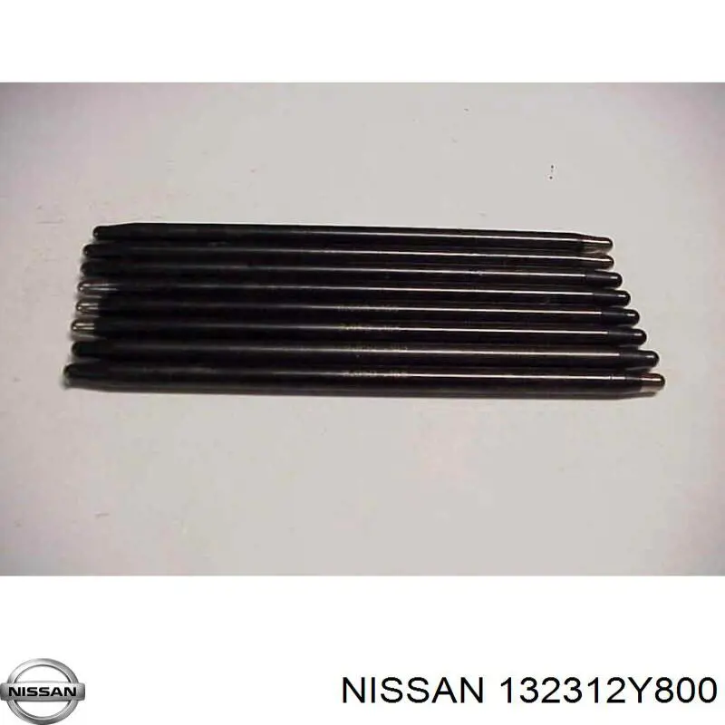 132312Y800 Nissan 