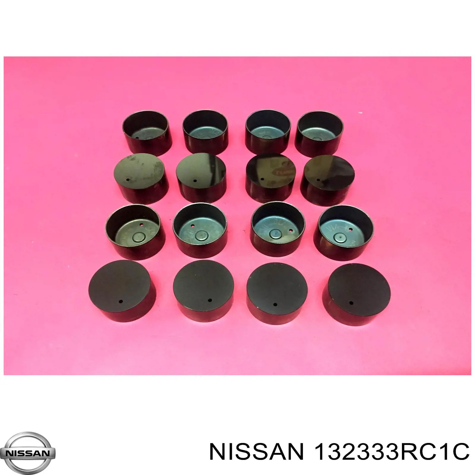 132333RC1C Nissan/Infiniti Гидрокомпенсатор