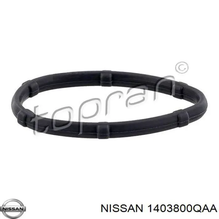 1403800QAA Nissan прокладка впускного коллектора верхняя