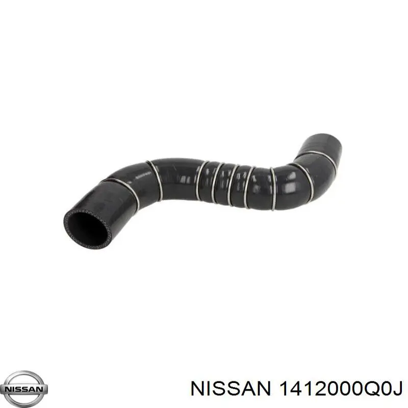  1412000Q0J Nissan