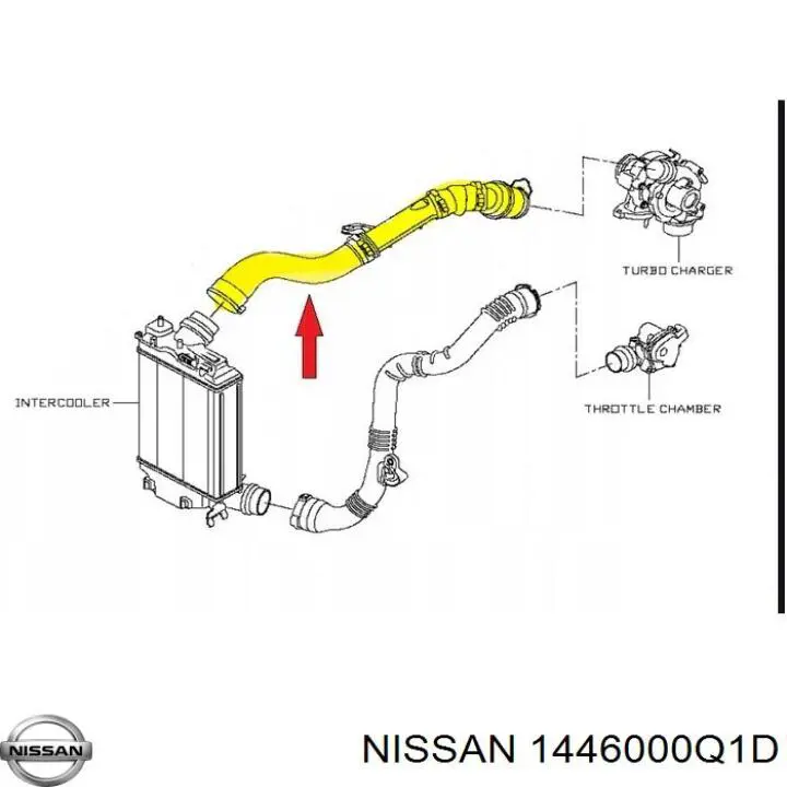  1446000Q1D Nissan