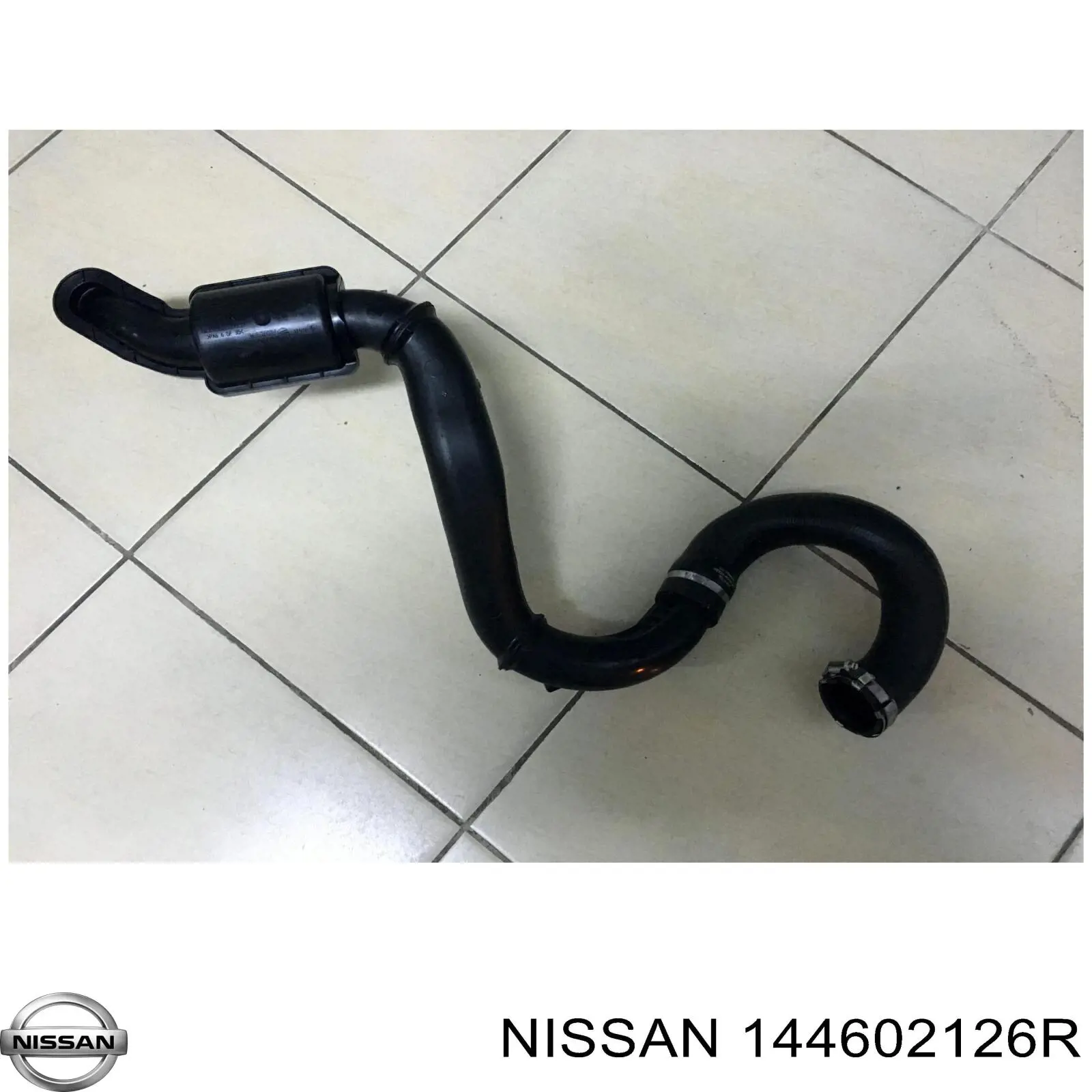 144602126R Nissan mangueira (cano derivado de intercooler)