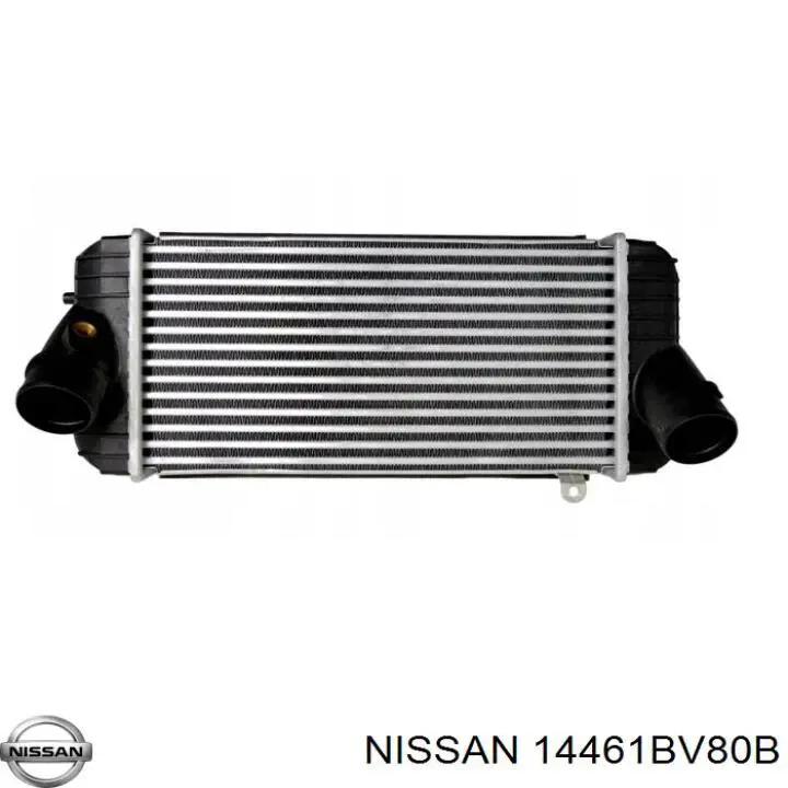 14461BV80B Nissan 