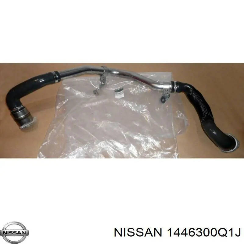  1446300Q1J Nissan/Infiniti