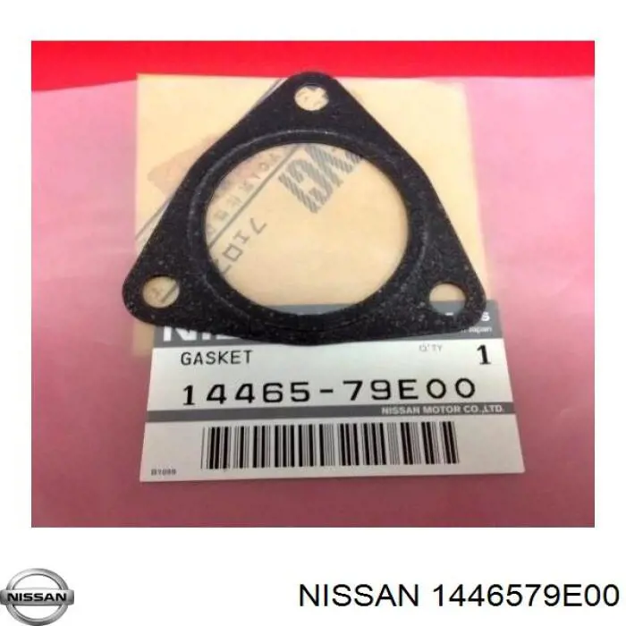 1446579E00 Nissan/Infiniti 