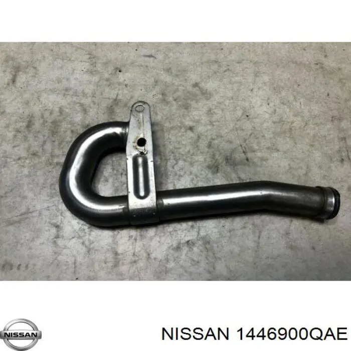  1446900QAE Nissan