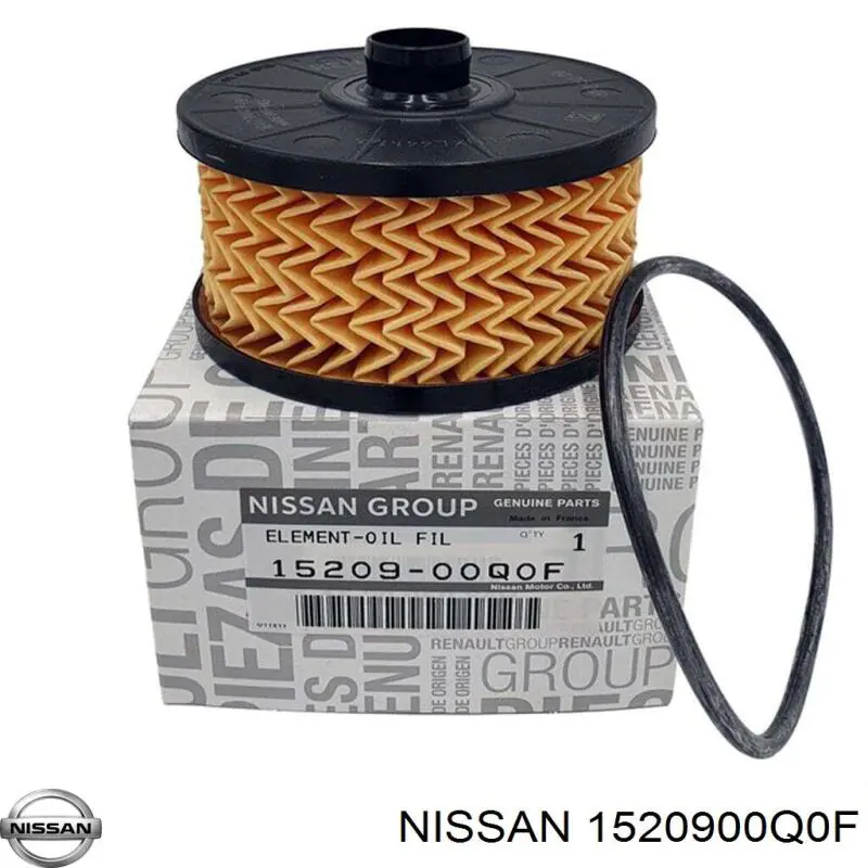 1520900Q0F Nissan/Infiniti