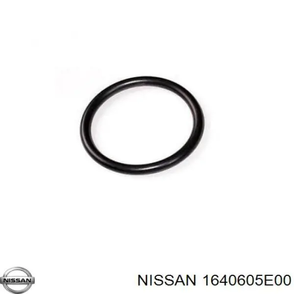 1640605E00 Nissan 