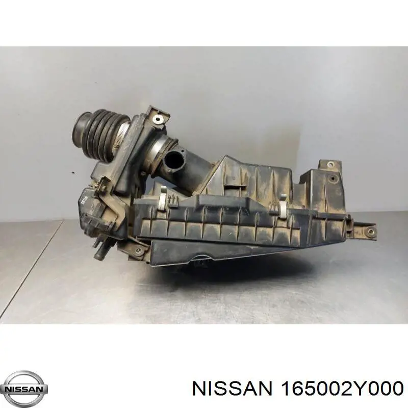  165002Y000 Nissan