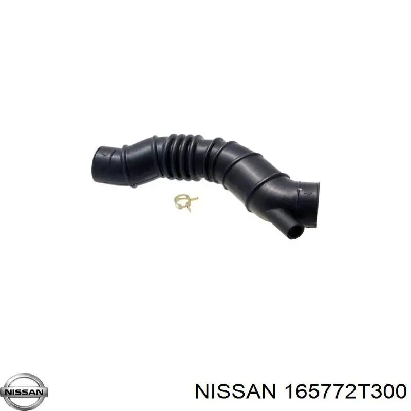 165772T300 Nissan/Infiniti 
