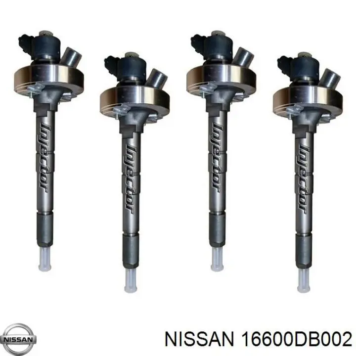 16600DB002 Renault (RVI) Топливные форсунки