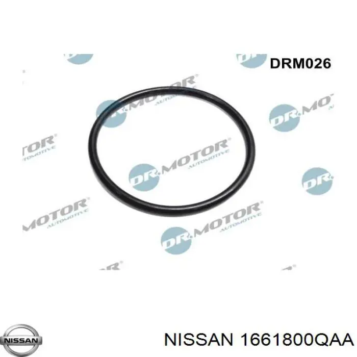 Junta cuerpo mariposa 1661800QAA Nissan