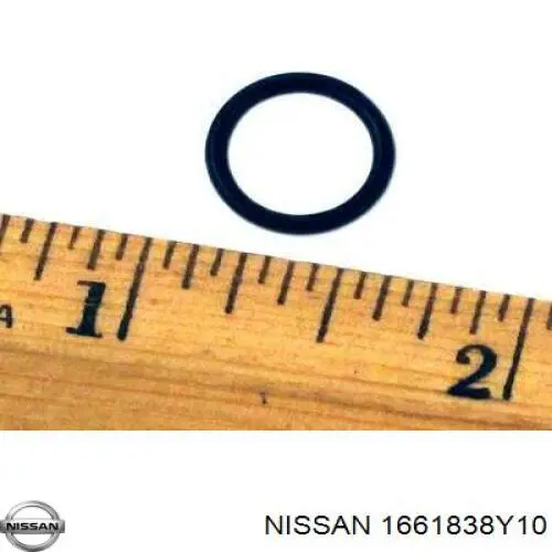  1661838Y10 Nissan