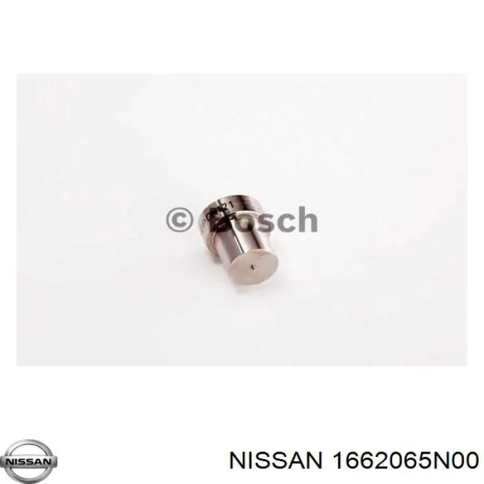 1662065N00 Nissan распылитель дизельной форсунки