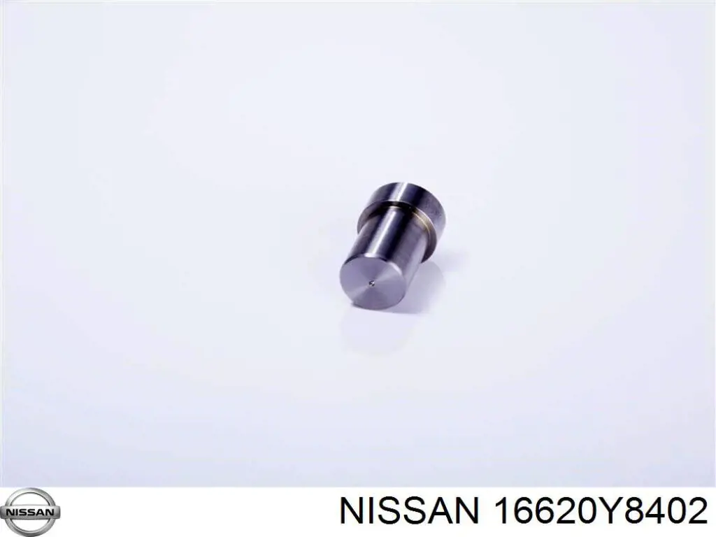 Распылитель форсунки 16620Y8402 Nissan