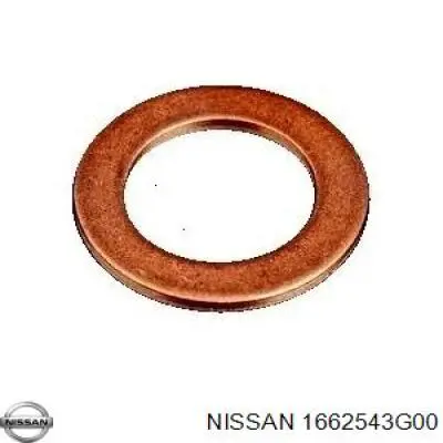 1662543G00 Nissan кольцо (шайба форсунки инжектора посадочное)