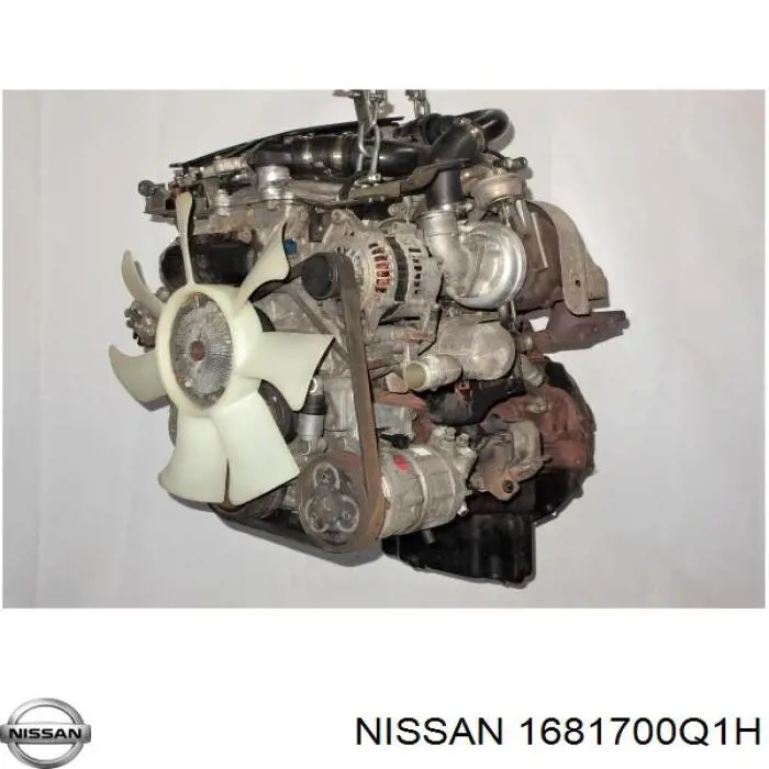 Купить 1681700Q1H Renault (RVI) Обратная топливная трубка