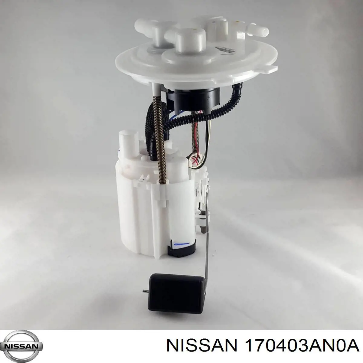  Nissan/Infiniti 170403AN0A