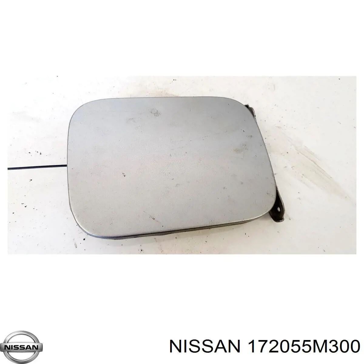 172055M300 Nissan/Infiniti 