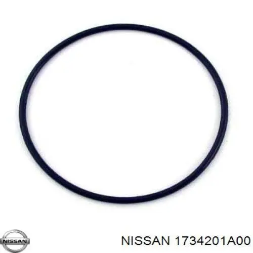 Прокладка датчика рівня (топл.бак) 1734201A00 Nissan