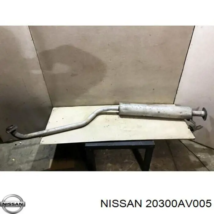  20300AV005 Nissan