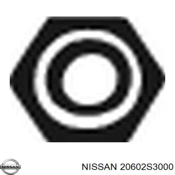 20602S3000 Nissan