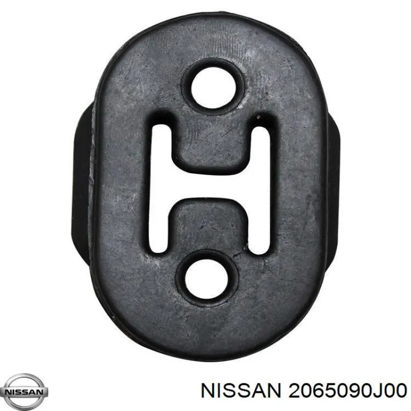  2065090J00 Nissan