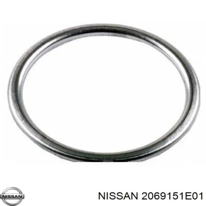 2069151E01 Nissan/Infiniti