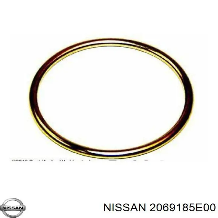 2069185E00 Nissan/Infiniti