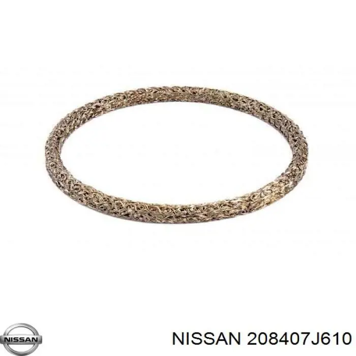  208407J610 Nissan