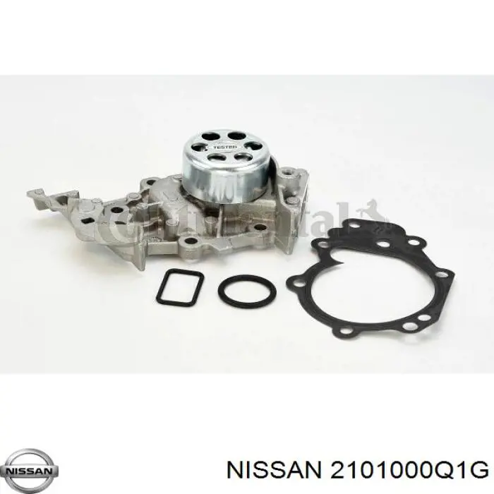 2101000Q1G Nissan 