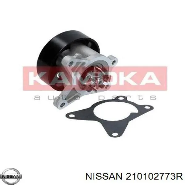 Помпа 210102773R Nissan