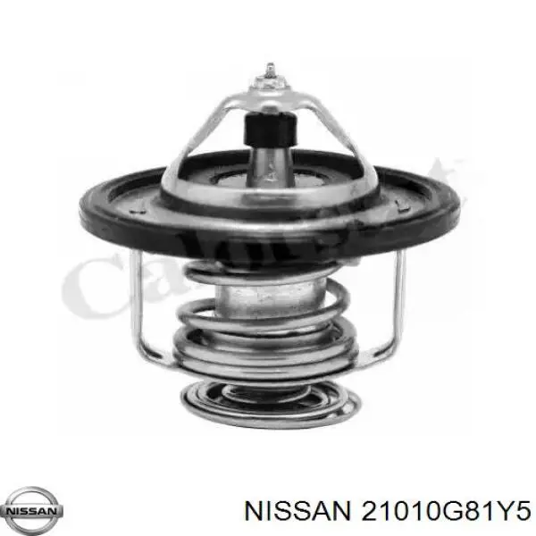 21010G81Y5 Nissan/Infiniti Насос водяной