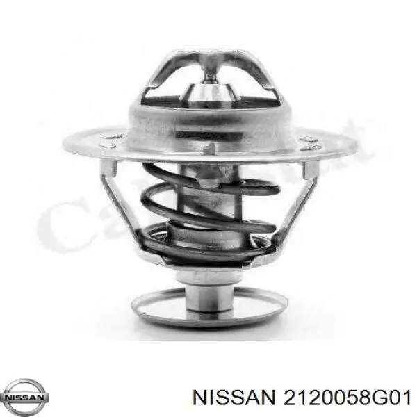 2120058G01 Nissan термостат