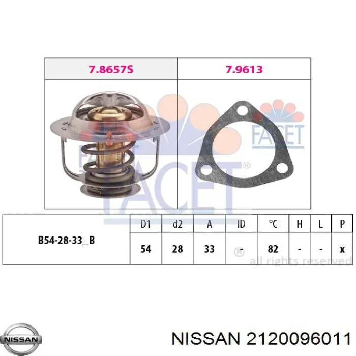  2120096011 Nissan