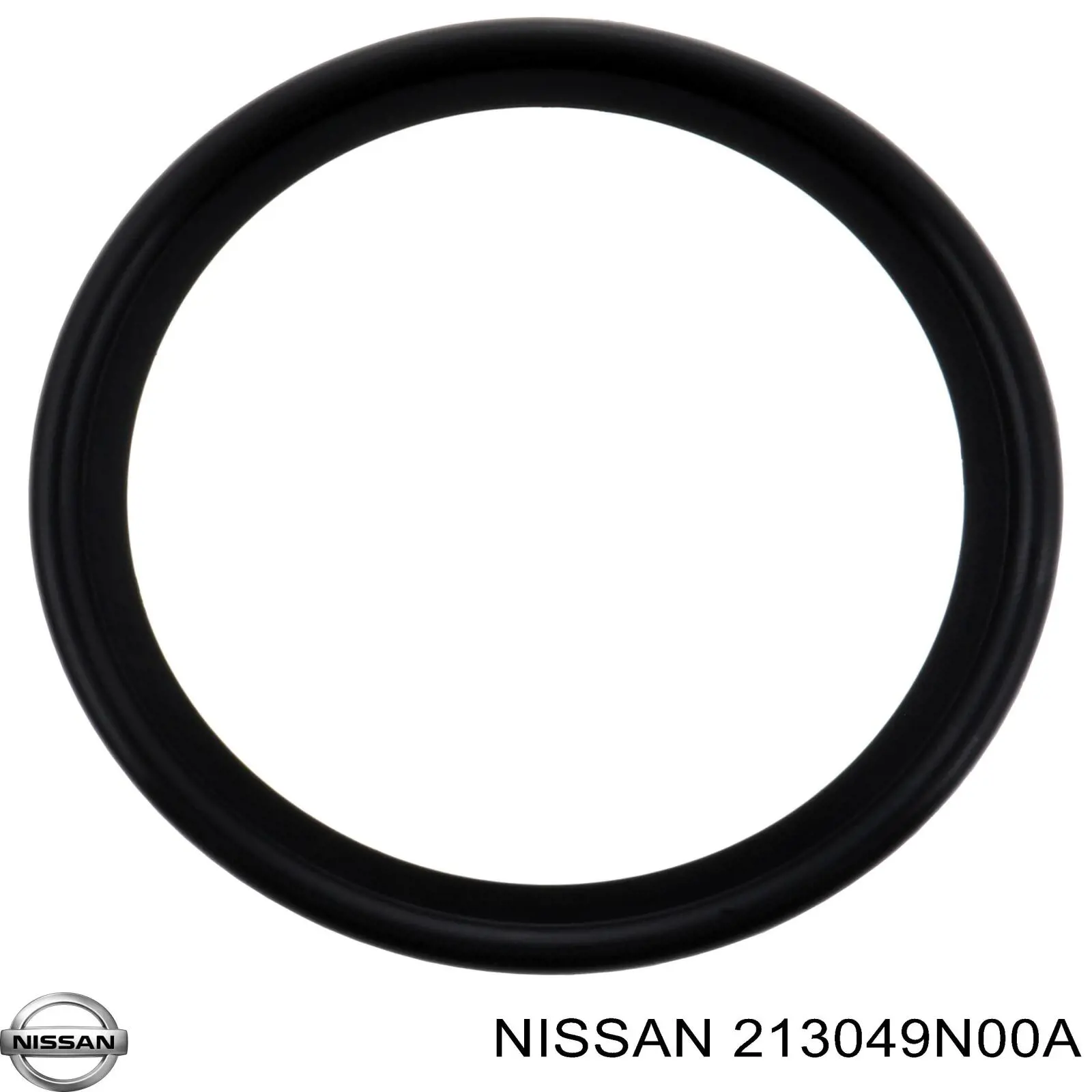 213049N00A Nissan 