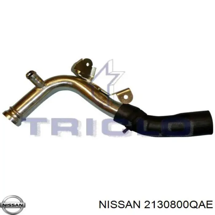 2130800QAE Nissan