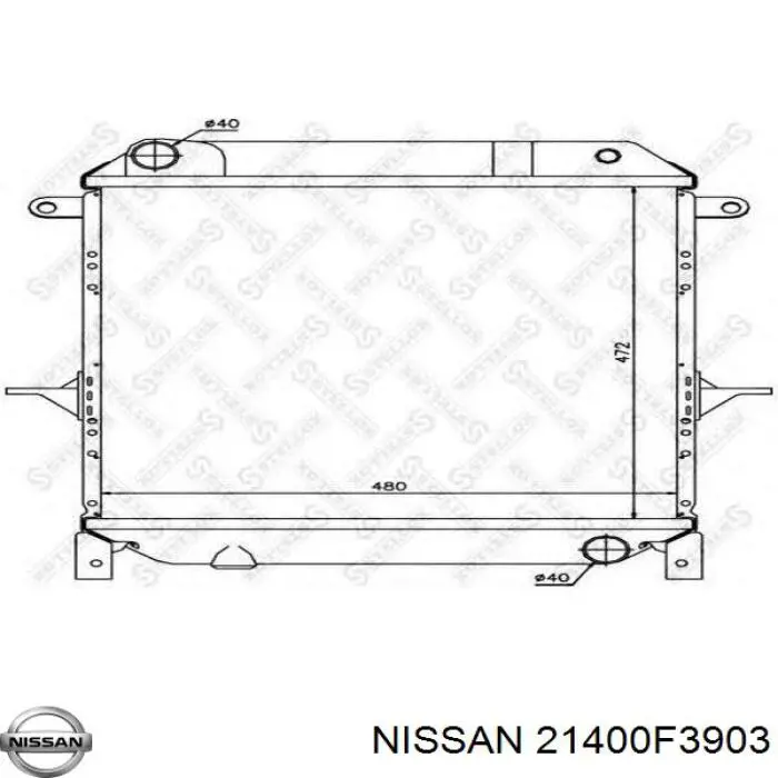  21400F3903 Nissan