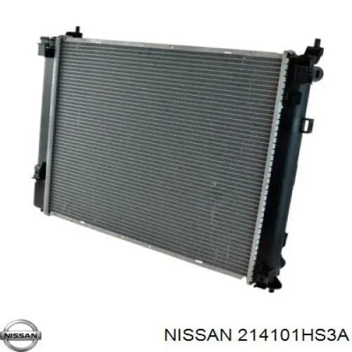 214601HS3B Nissan 