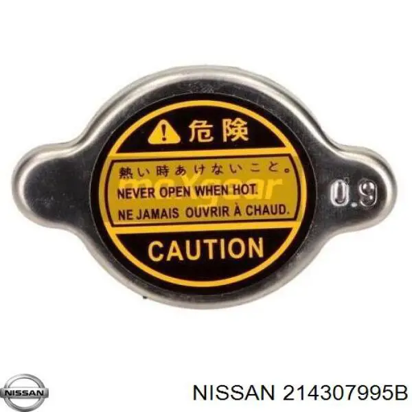 214307995B Nissan 