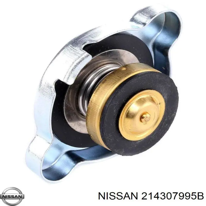  214307995B Nissan/Infiniti